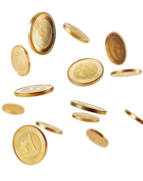 加拿大28 数据服务